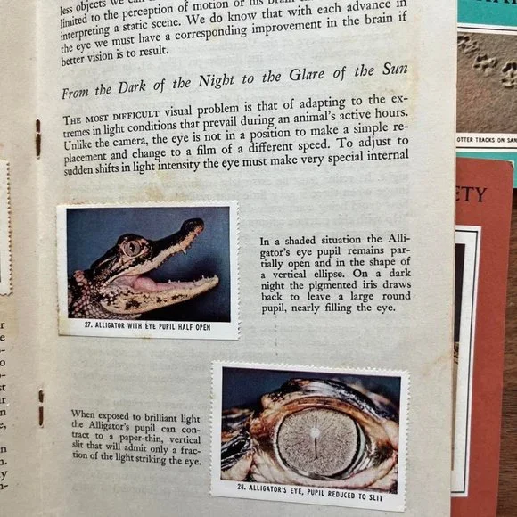 National Audubon Society Nature Program with 7 Sticker Booklets Vintage 1955 - Picture 4 of 7